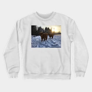 Scottish Highland Cattle Calves 1681 Crewneck Sweatshirt